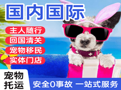 乌审旗嘎鲁图空运代理国际宠物托运 【国